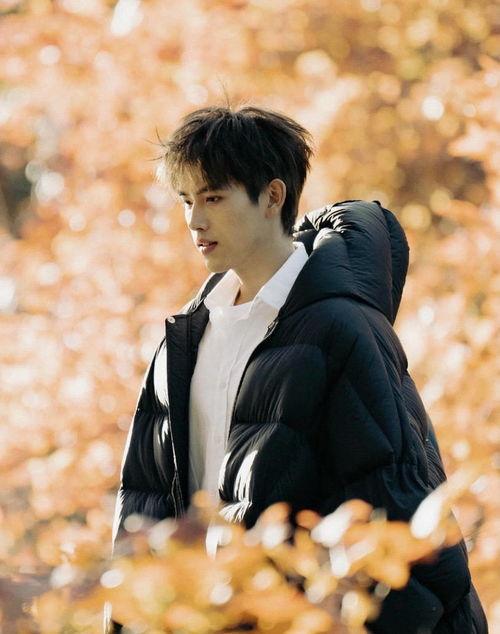 张婧仪爆料陈飞宇发视频,揭秘娱乐圈背后的真相 第2张 张婧仪爆料陈飞宇发视频,揭秘娱乐圈背后的真相 第2张